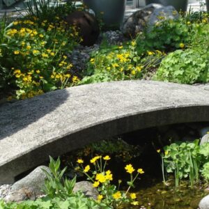 Bauunternehmen Massing