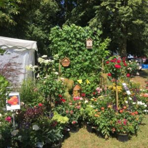 Gartencenter Massing