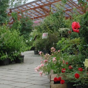 Gartencenter Massing