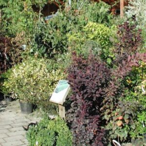 Gartencenter Massing