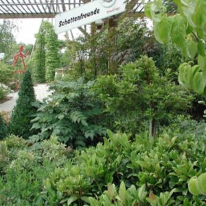 Gartencenter Massing