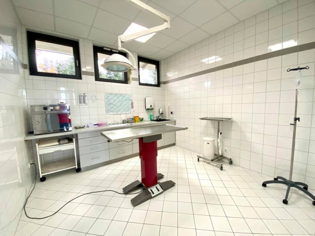 Tierarzt Massing Tierarzt Massing