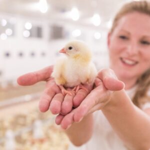 Geflügelhandel Massing