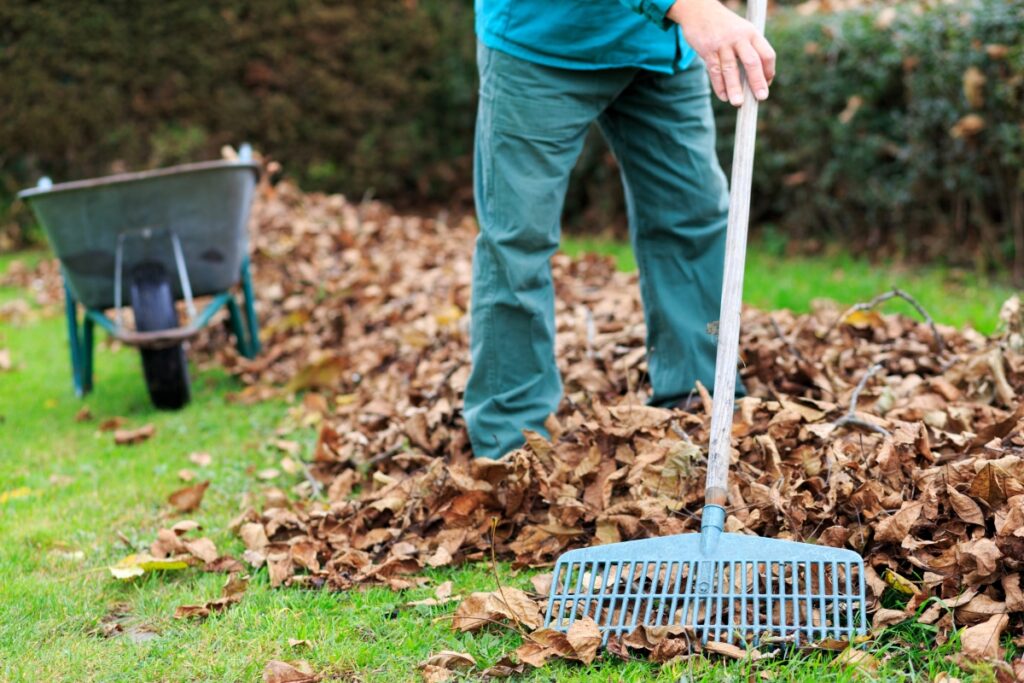 Hausmeisterservice Massing Hausmeisterservice Massing